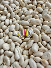 Load image into Gallery viewer, Pins