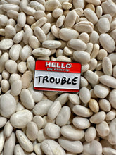 Load image into Gallery viewer, Pins