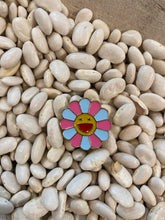 Load image into Gallery viewer, Pins