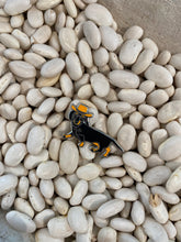 Load image into Gallery viewer, Pins