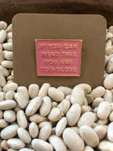 Load image into Gallery viewer, Pins