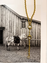 Load image into Gallery viewer, The Bit of Gold
