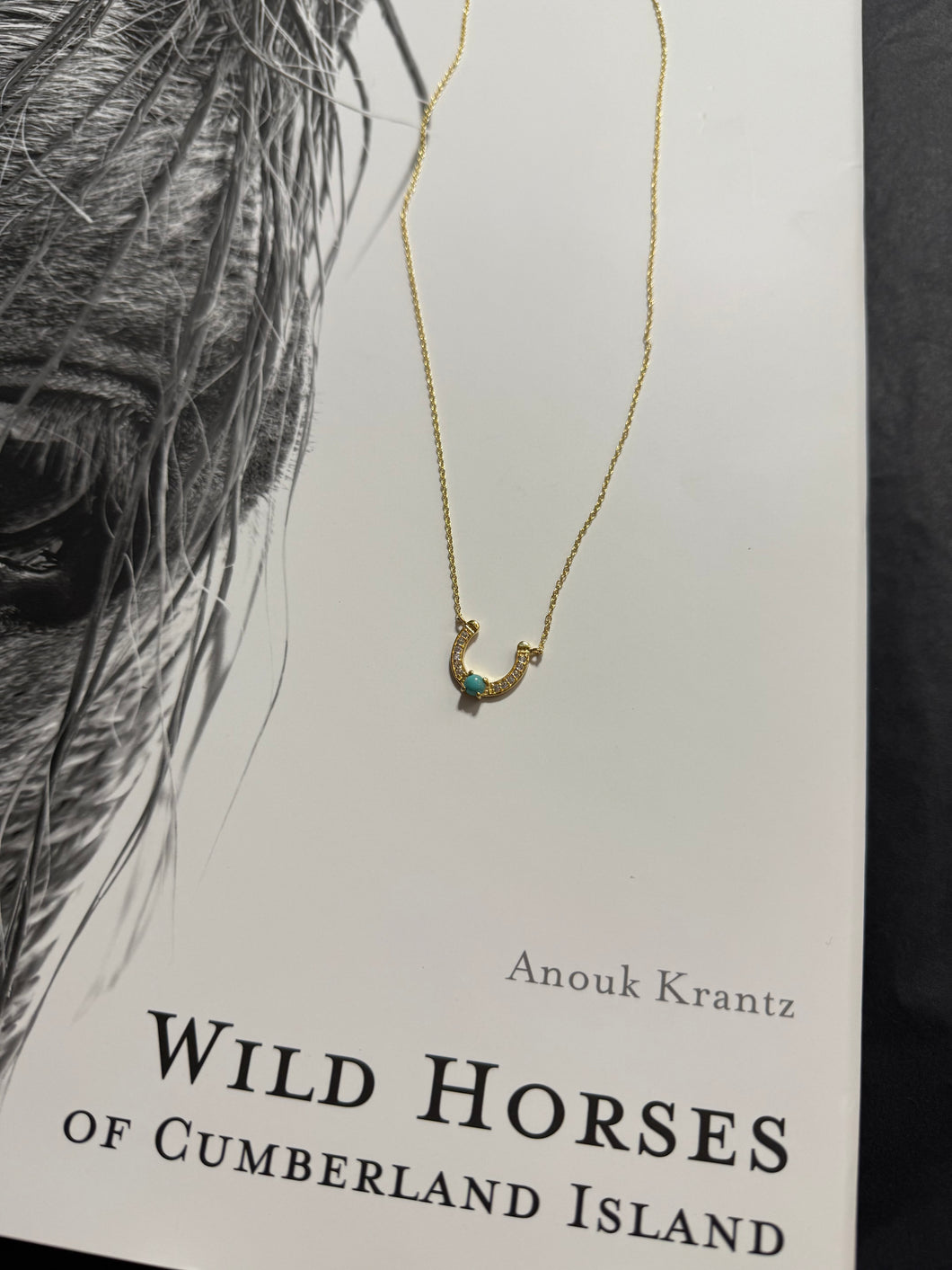 The Horseshoe Stud Necklace
