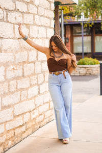 The Prescott Tube Top in Brown