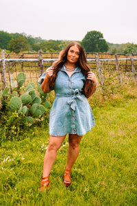 The Sparrow Dress
