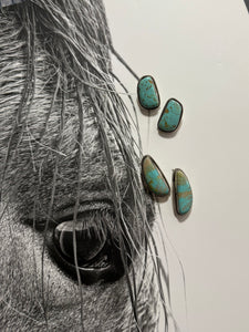 The Nez Earrings