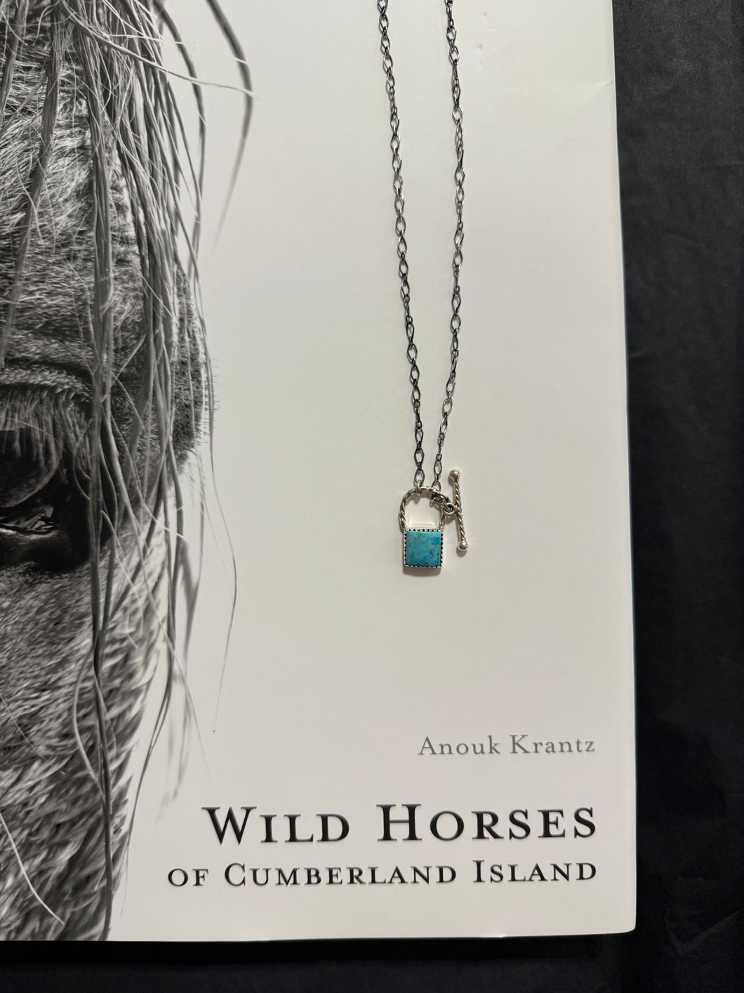 The Burtin Necklace