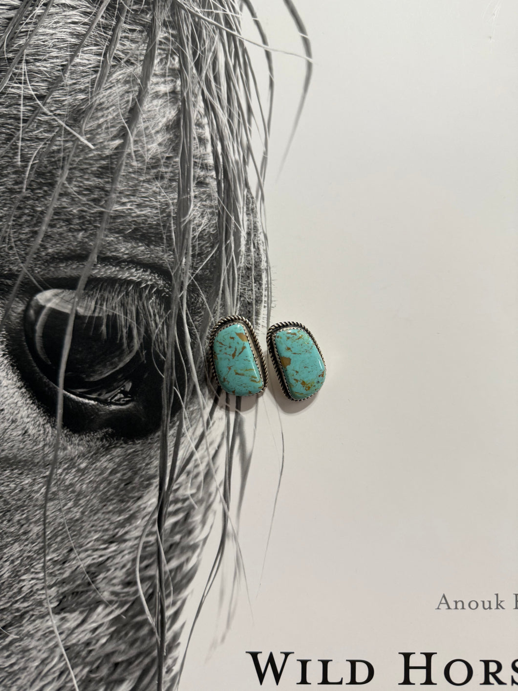 The Nez Earrings