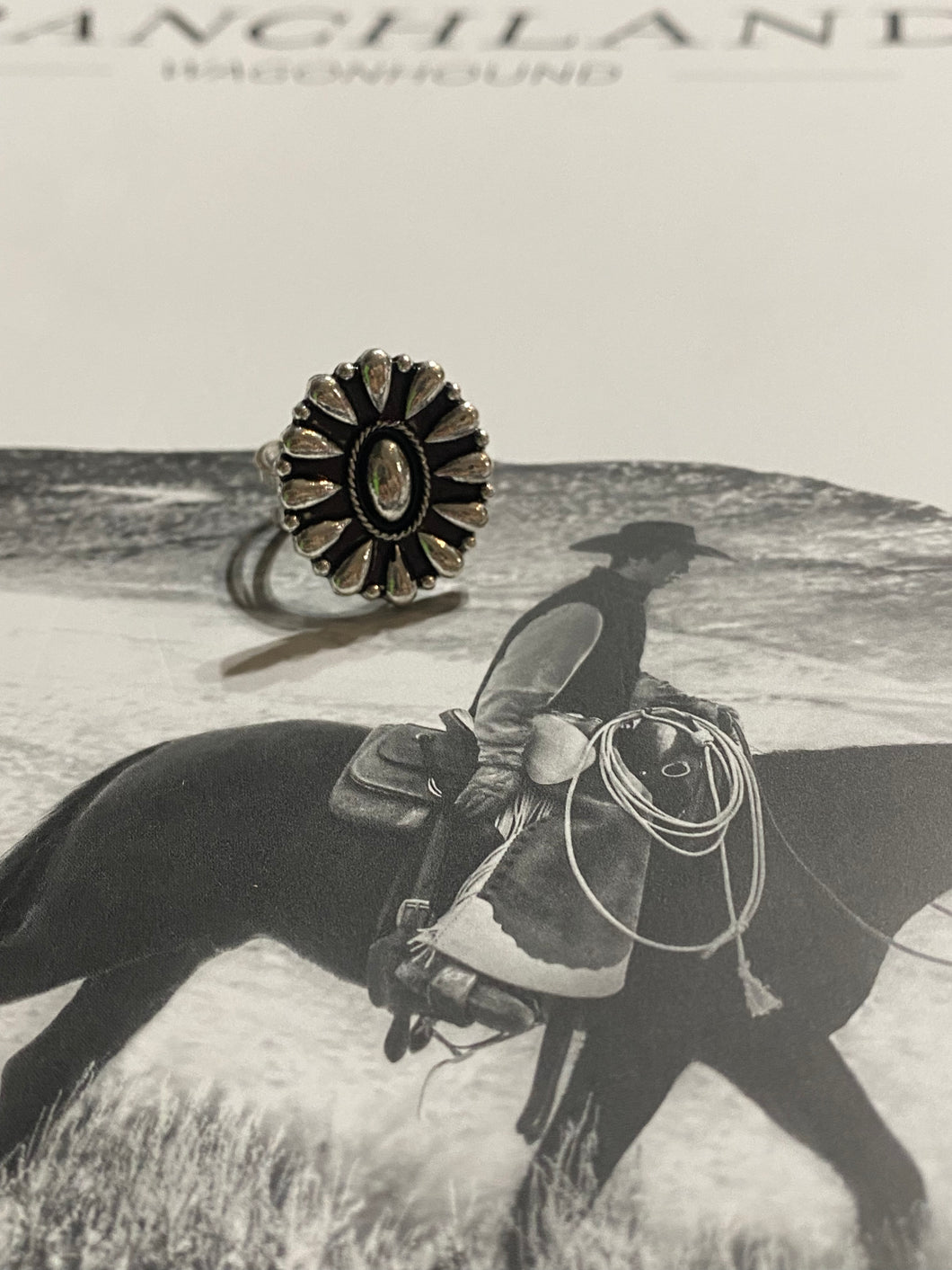 The Sanders Ring